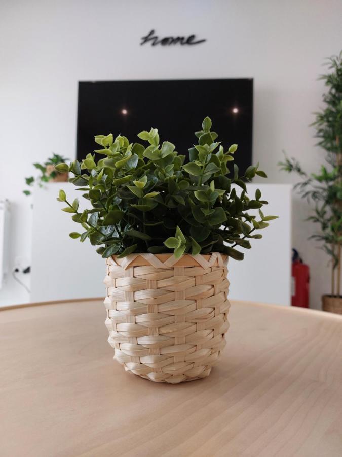 Life Apartment, New, Elegant And Cozy Apartment *